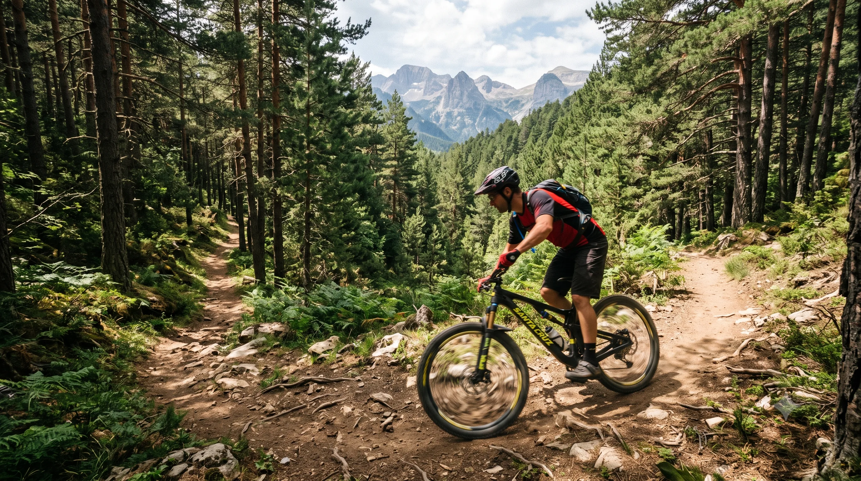 VTTiste sur un singletrack en forêt de pins des Pyrénées, sommets rocheux en arrière-plan